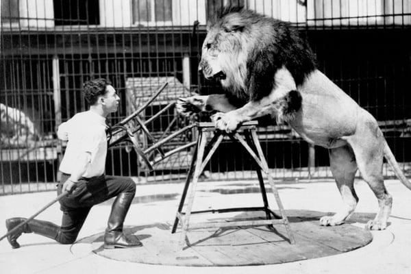 clyde beatty lion tamer